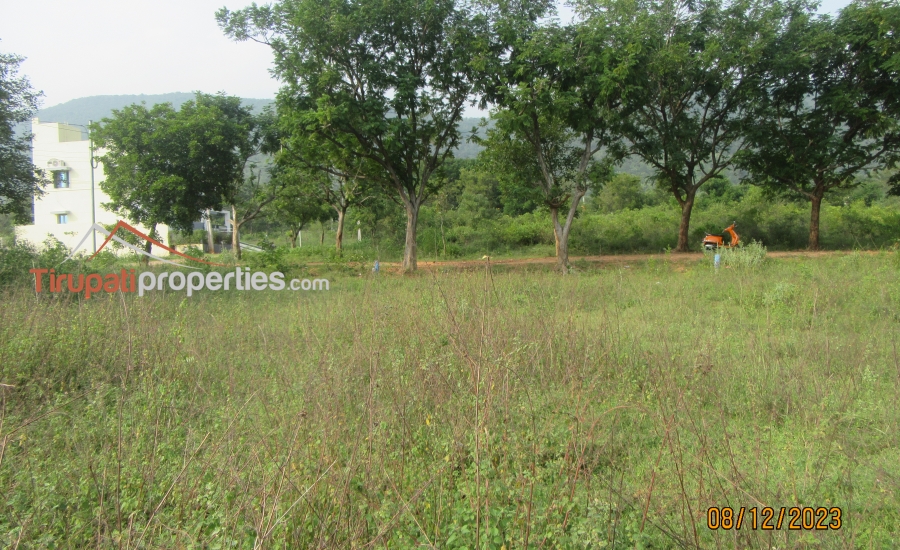 Tuda Approved North and South Facing 68 Anks Two Plots for Sale in TUDA Layout HIG Near Karkamabadi Road, Tirupati